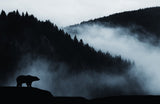 "Moments in Nature" – Choose Your Scene: Forest Mist, Ocean Sunset, or Morning Meadow - 30x45 cm / 12x18″ - Forest Mist - Acrylic Print