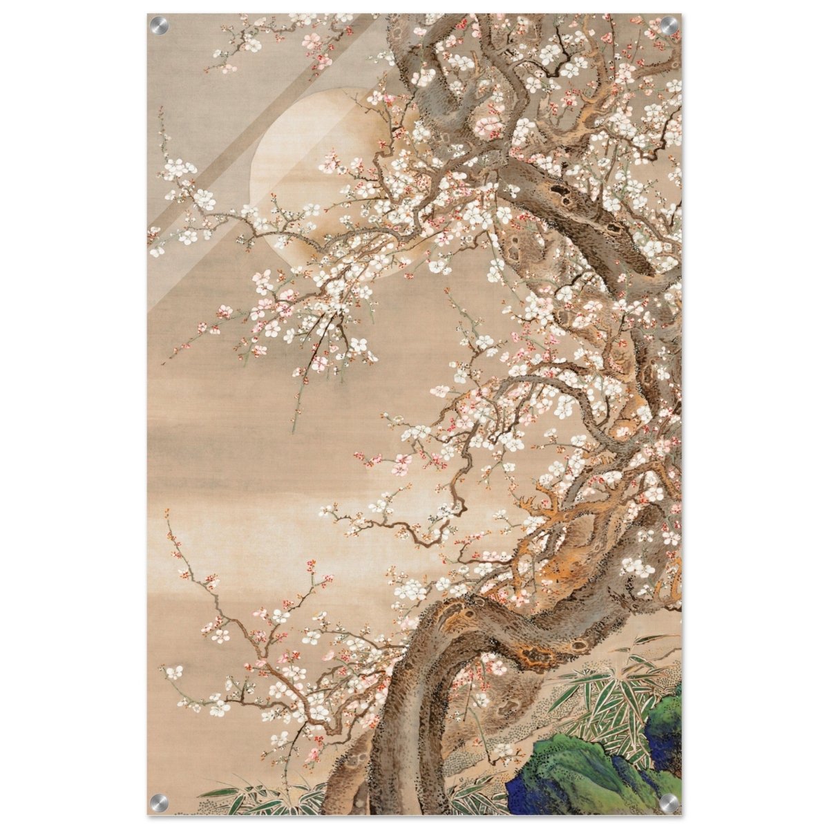 Moonlit Sakura Dance | Traditional Chinese/Japanese Botanical wall art print - Acrylic Print - 30x45 cm / 12x18″ - 
