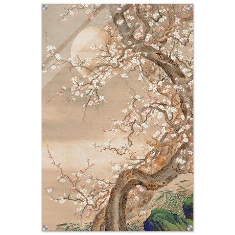 Moonlit Sakura Dance | Traditional Chinese/Japanese Botanical wall art print - Acrylic Print - 30x45 cm / 12x18″ - 