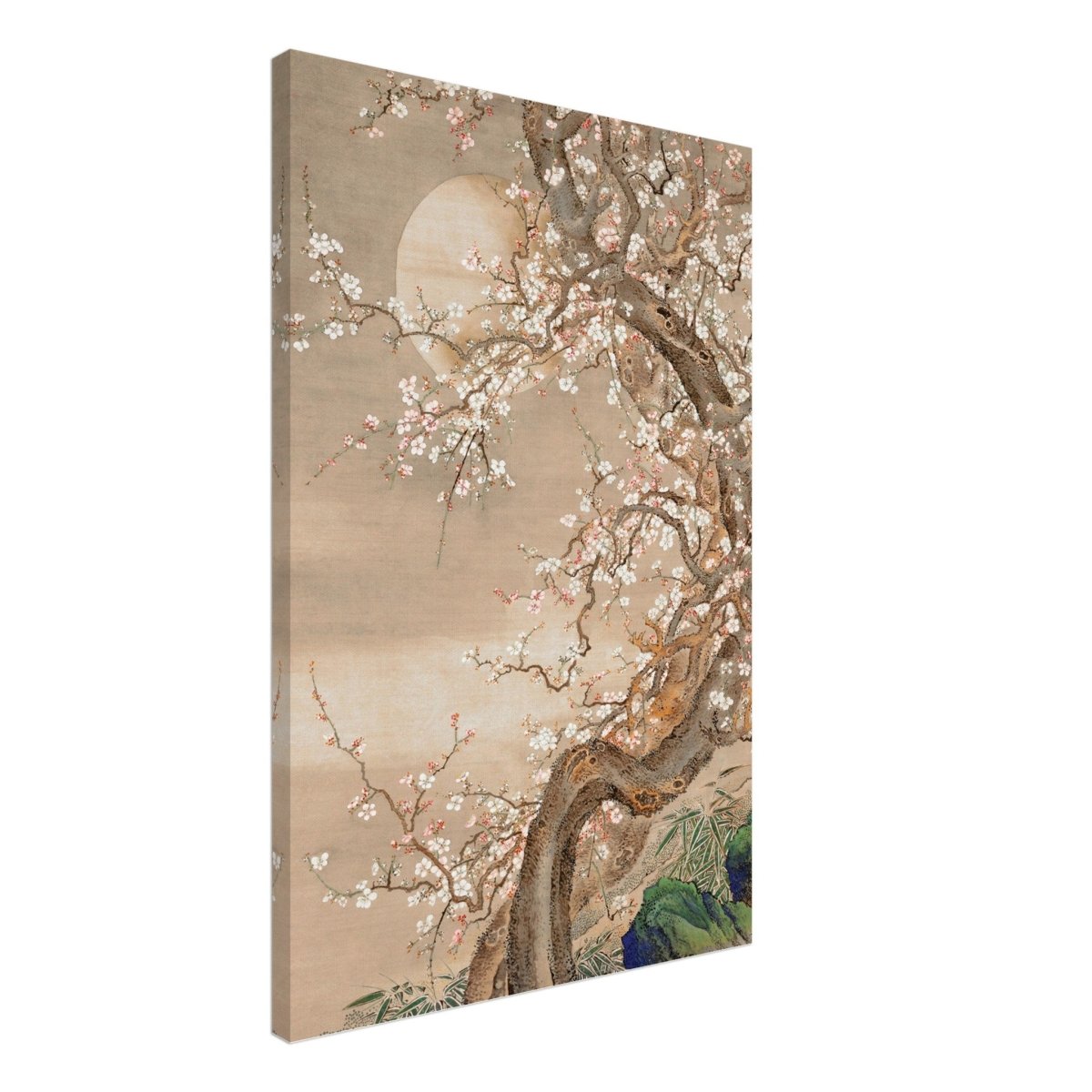 Moonlit Sakura Dance | Traditional Chinese/Japanese Botanical wall art print - Acrylic Print - 30x45 cm / 12x18″ - 