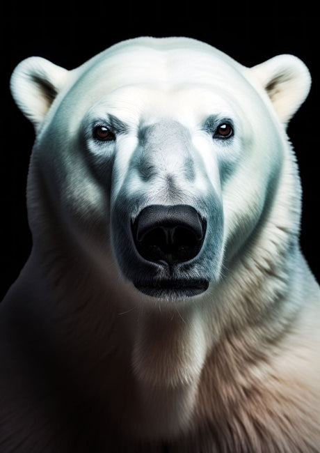 "Northern Kings" – Choose Your Polar Bear Portrait: Guardian, Sentinel, or Sovereign - 30x45 cm / 12x18″ - Design 1 - Acrylic Print