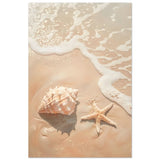 Ocean’s Whisper – Seashells and Serenity | Minimalist Coastal Art - 30x45 cm / 12x18″ - Aluminum Print - 