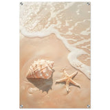 Ocean’s Whisper – Seashells and Serenity | Minimalist Coastal Art - 50x75 cm / 20x30″ - Acrylic Print - 