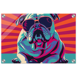Paws & Pop – Retro Bulldog Swagger Vibes | Wall Art Print - Acrylic Print - 30x45 cm / 12x18″ - 