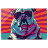 Paws & Pop – Retro Bulldog Swagger Vibes | Wall Art Print - Acrylic Print - 60x90 cm / 24x36″ - 