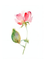 "Petal Reverie" |V02|– Soft Bloom Botanical Series | Wall Art Print | 6 Design Options - 20x30 cm / 8x12" - Design Option 1 - Canvas