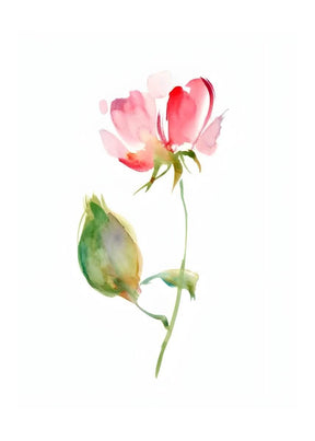 "Petal Reverie" |V02|– Soft Bloom Botanical Series | Wall Art Print | 6 Design Options - 20x30 cm / 8x12" - Design Option 1 - Canvas