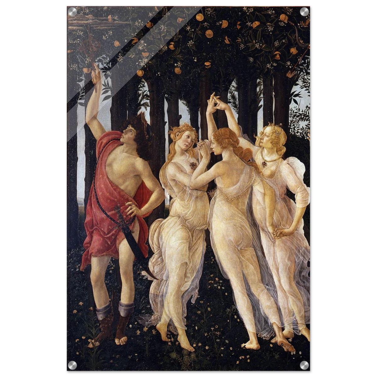 Primavera by Sandro Botticelli | Vintage wall art print - 60x90 cm / 24x36″ - Acrylic Print - 
