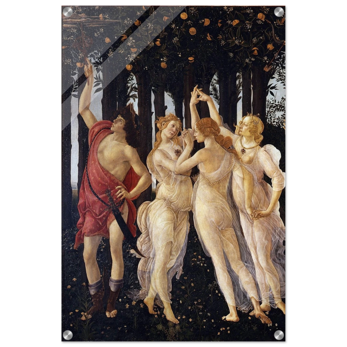 Primavera by Sandro Botticelli | Vintage wall art print - 50x75 cm / 20x30″ - Acrylic Print - 