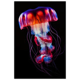 Radiant Abyss: The Neon Jellyfish | Animal art print - Wood Prints - 50x75 cm / 20x30″ - 