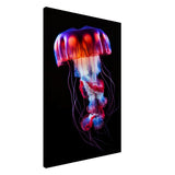 Radiant Abyss: The Neon Jellyfish | Animal art print - Canvas - 60x90 cm / 24x36″ - 