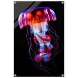 Radiant Abyss: The Neon Jellyfish | Animal art print - Acrylic Print - 50x75 cm / 20x30″ - 