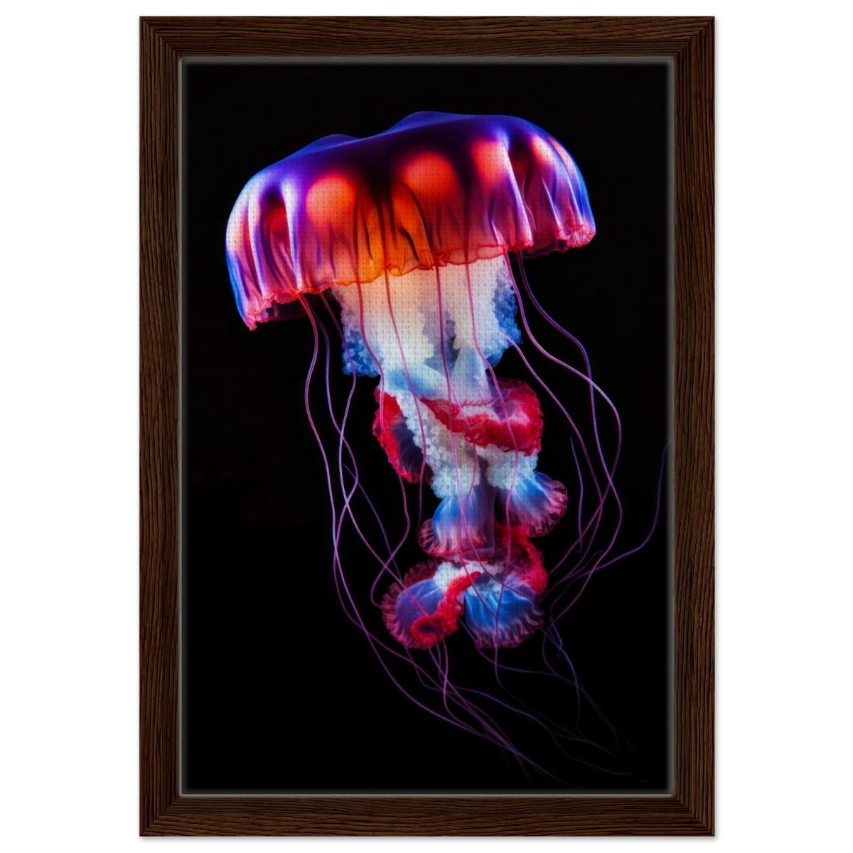 Radiant Abyss: The Neon Jellyfish | Animal art print - Framed Canvas - 30x45 cm / 12x18″ - Dark wood frame