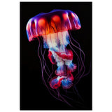 Radiant Abyss: The Neon Jellyfish | Animal art print - Wood Prints - 60x90 cm / 24x36″ - 