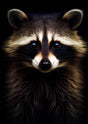 "Shadow Whiskers" – Choose Your Raccoon Portrait: Curious, Poised, or Gentle - 30x45 cm / 12x18″ - Design 1 - Acrylic Print