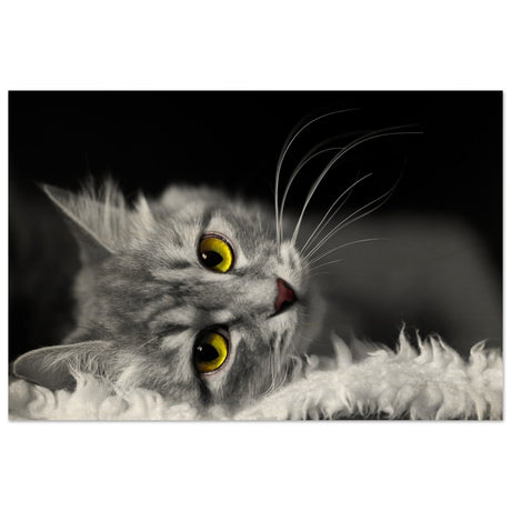 Silent Gaze: The Grey Cat's Serenity | Animal wall art print - Wood Prints - 60x90 cm / 24x36″ - 