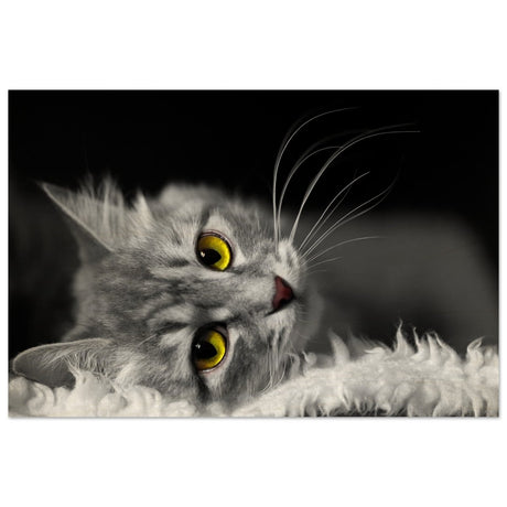 Silent Gaze: The Grey Cat's Serenity | Animal wall art print - Wood Prints - 50x75 cm / 20x30″ - 