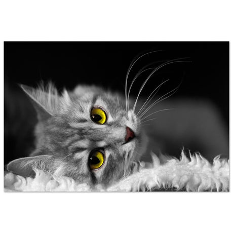 Silent Gaze: The Grey Cat's Serenity | Animal wall art print - Aluminum Print - 60x90 cm / 24x36″ - 