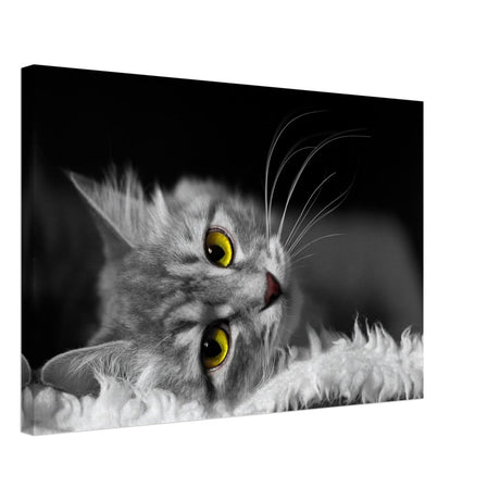Silent Gaze: The Grey Cat's Serenity | Animal wall art print - Canvas - 40x60 cm / 16x24″ - 