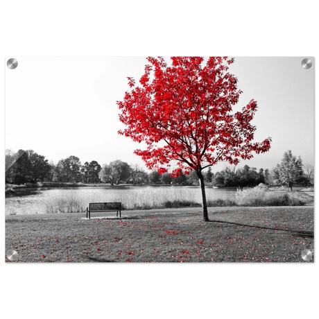 "Solitude in Crimson" – Red Tree by the Lake | Minimalist Nature Wall Art Print - Acrylic Print - 40x60 cm / 16x24″ - 
