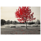 "Solitude in Crimson" – Red Tree by the Lake | Minimalist Nature Wall Art Print - Wood Prints - 70x100 cm / 28x40″ - 