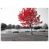 "Solitude in Crimson" – Red Tree by the Lake | Minimalist Nature Wall Art Print - Acrylic Print - 70x100 cm / 28x40″ - 
