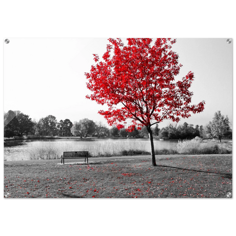 "Solitude in Crimson" – Red Tree by the Lake | Minimalist Nature Wall Art Print - Acrylic Print - 70x100 cm / 28x40″ - 