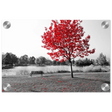 "Solitude in Crimson" – Red Tree by the Lake | Minimalist Nature Wall Art Print - Acrylic Print - 20x30 cm / 8x12″ - 