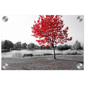 "Solitude in Crimson" – Red Tree by the Lake | Minimalist Nature Wall Art Print - Acrylic Print - 20x30 cm / 8x12″ - 