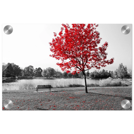 "Solitude in Crimson" – Red Tree by the Lake | Minimalist Nature Wall Art Print - Acrylic Print - 20x30 cm / 8x12″ - 