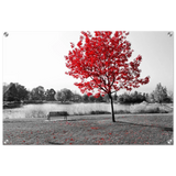"Solitude in Crimson" – Red Tree by the Lake | Minimalist Nature Wall Art Print - Acrylic Print - 50x75 cm / 20x30″ - 