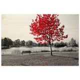 "Solitude in Crimson" – Red Tree by the Lake | Minimalist Nature Wall Art Print - Wood Prints - 50x75 cm / 20x30″ - 