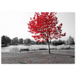 "Solitude in Crimson" – Red Tree by the Lake | Minimalist Nature Wall Art Print - Fine Art Poster - 70x100 cm / 28x40″ - 