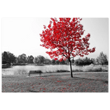 "Solitude in Crimson" – Red Tree by the Lake | Minimalist Nature Wall Art Print - Fine Art Poster - 70x100 cm / 28x40″ - 