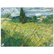The Green Field by Vincent van Gogh | Vintage wall art print - Acrylic Print - 30x40 cm / 12x16″ - 