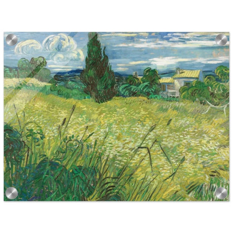 The Green Field by Vincent van Gogh | Vintage wall art print - Acrylic Print - 30x40 cm / 12x16″ - 