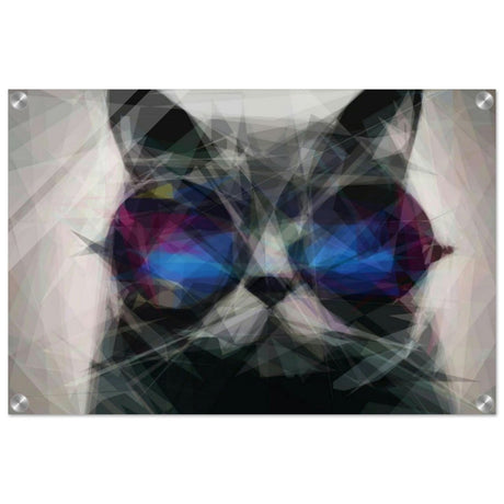 The Wise Whisker | Animal Kingdom | Modern Art Wall art print - Acrylic Print - 40x60 cm / 16x24″ - 