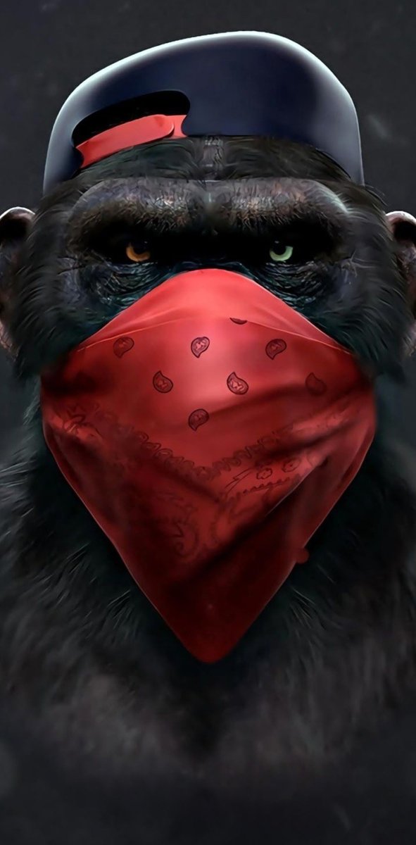 Urban Jungle Trio: Gorilla Vibes Canvas Bundle 50 x 100 CM - 