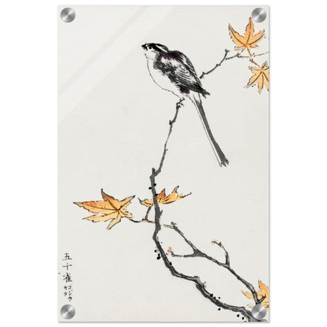 Whispers of the Sparrow | Traditional Japanese Ink and Wash wall art print - Acrylic Print - 30x45 cm / 12x18″ - 