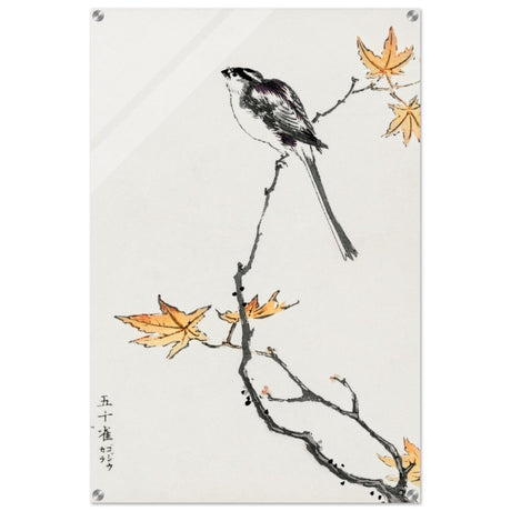 Whispers of the Sparrow | Traditional Japanese Ink and Wash wall art print - Acrylic Print - 60x90 cm / 24x36″ - 
