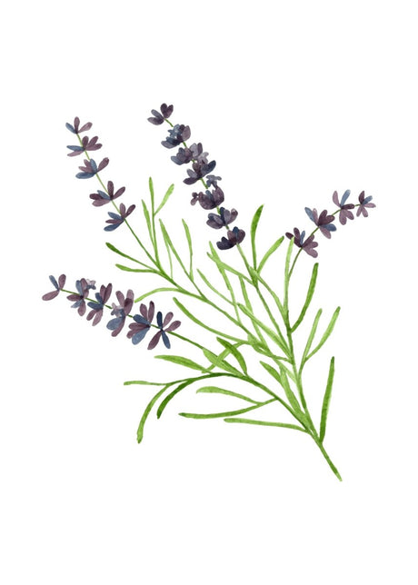 "Wild Meadow Whispers" V02 – Soft Botanical Watercolor Elegance | Wall Art Print| 4 Design Options - 20x30 cm / 8x12" - Design Option 3 - Canvas