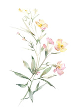"Wild Meadow Whispers" V02 – Soft Botanical Watercolor Elegance | Wall Art Print| 4 Design Options - 20x30 cm / 8x12" - Design Option4 - Canvas