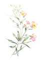 "Wild Meadow Whispers" V02 – Soft Botanical Watercolor Elegance | Wall Art Print| 4 Design Options - 20x30 cm / 8x12" - Design Option4 - Canvas