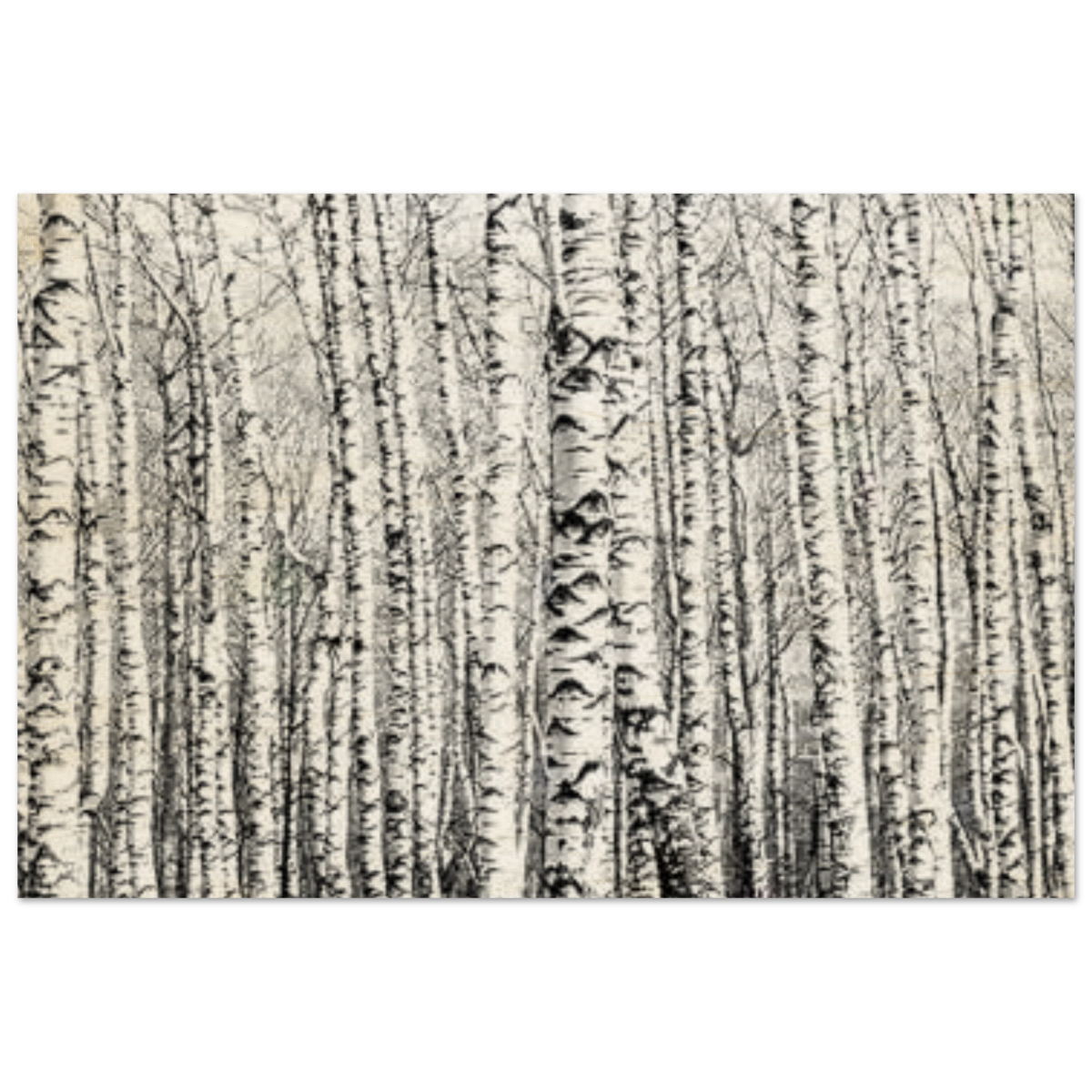 Winter Birch – A Minimalist Forest Escape Wall art - Wood Prints - 50x75 cm / 20x30″ - 