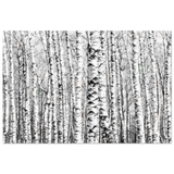 Winter Birch – A Minimalist Forest Escape Wall art - Aluminum Print - 30x45 cm / 12x18″ - 