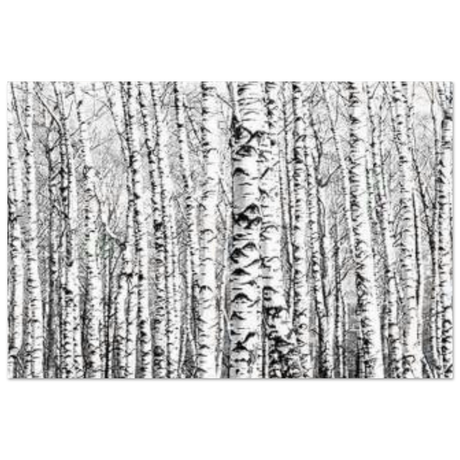 Winter Birch – A Minimalist Forest Escape Wall art - Aluminum Print - 30x45 cm / 12x18″ - 