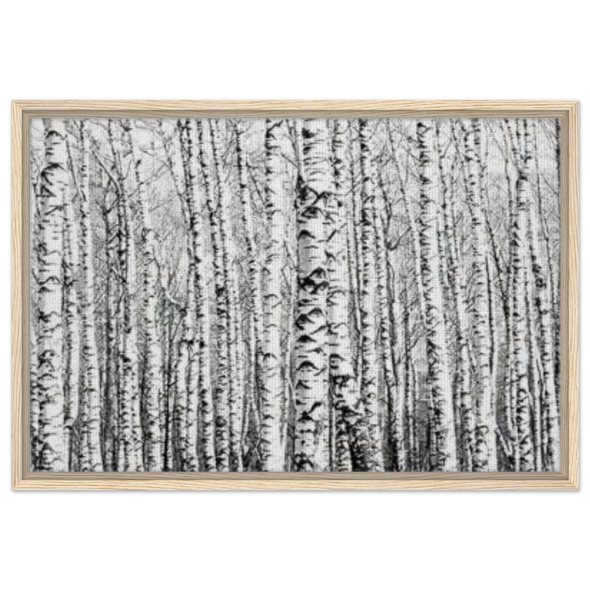Winter Birch – A Minimalist Forest Escape Wall art - Framed Canvas - 50x75 cm / 20x30″ - Wood frame