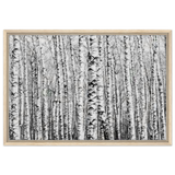 Winter Birch – A Minimalist Forest Escape Wall art - Framed Canvas - 50x75 cm / 20x30″ - Wood frame