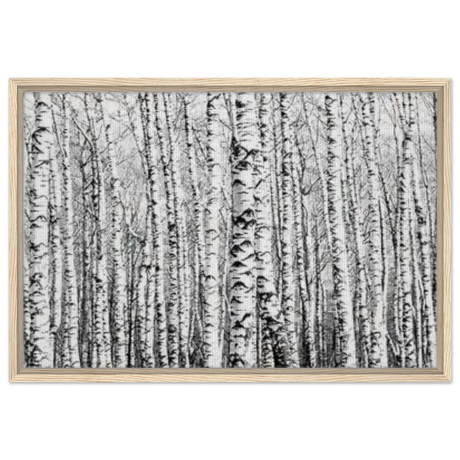 Winter Birch – A Minimalist Forest Escape Wall art - Framed Canvas - 50x75 cm / 20x30″ - Wood frame