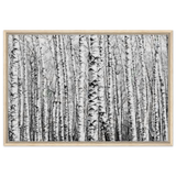Winter Birch – A Minimalist Forest Escape Wall art - Framed Canvas - 60x90 cm / 24x36″ - Wood frame